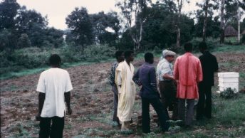 lega apicoltura in guinea 1974