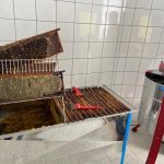 mellificum apicoltura laboratorio